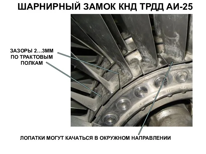 ШАРНИРНЫЙ ЗАМОК КНД ТРДД АИ-25 ЛОПАТКИ МОГУТ КАЧАТЬСЯ В ОКРУЖНОМ НАПРАВЛЕНИИ ЗАЗОРЫ 2…3ММ ПО ТРАКТОВЫМ ПОЛКАМ