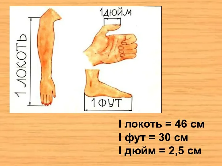 I локоть = 46 см I фут = 30 см I дюйм = 2,5 см