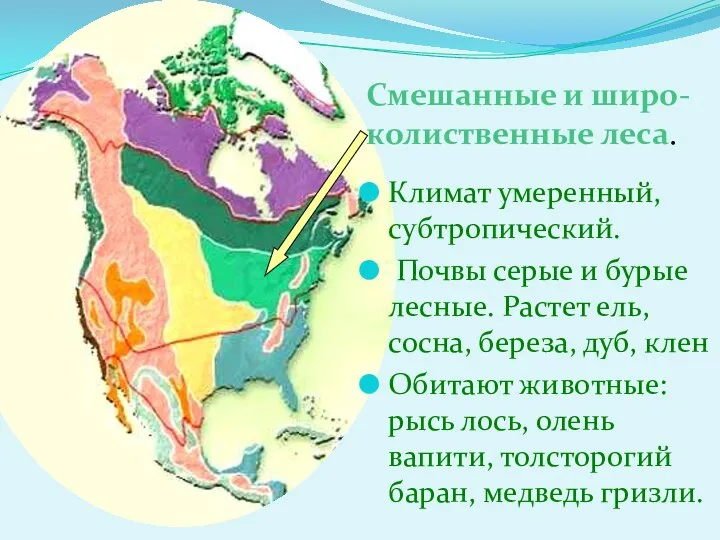 Климат умеренный, субтропический. Почвы серые и бурые лесные. Растет ель, сосна,