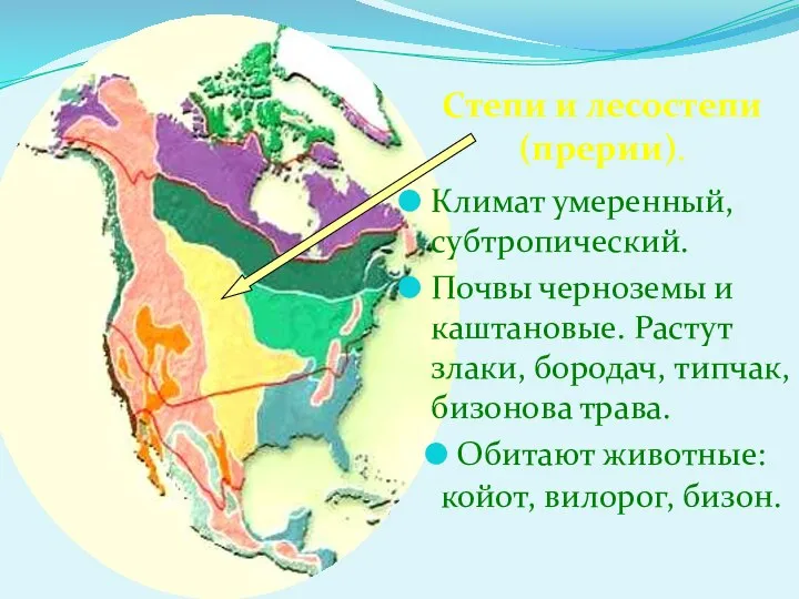 Климат умеренный, субтропический. Почвы черноземы и каштановые. Растут злаки, бородач, типчак,