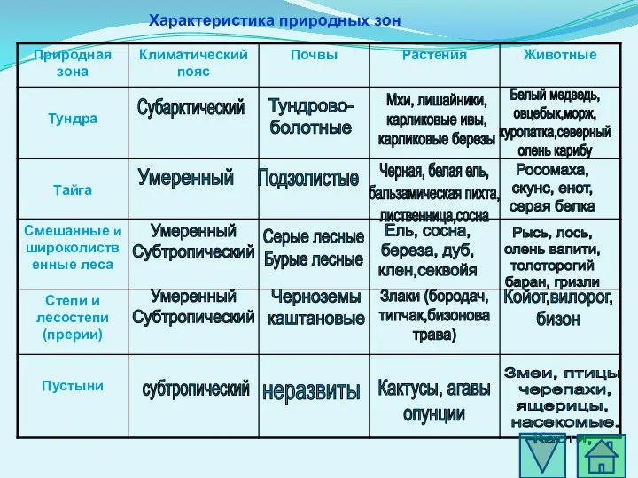 Характеристика природных зон Субарктический Умеренный Умеренный Субтропический Умеренный Субтропический Тундрово- болотные