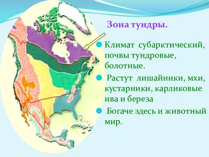 Климат субарктический, почвы тундровые, болотные. Растут лишайники, мхи, кустарники, карликовые ива