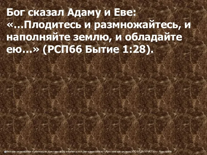 Бог сказал Адаму и Еве: «…Плодитесь и размножайтесь, и наполняйте землю,