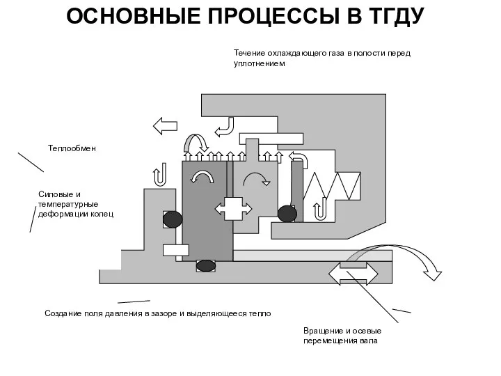 ОСНОВНЫЕ ПРОЦЕССЫ В ТГДУ