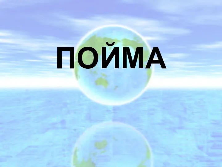 ПОЙМА