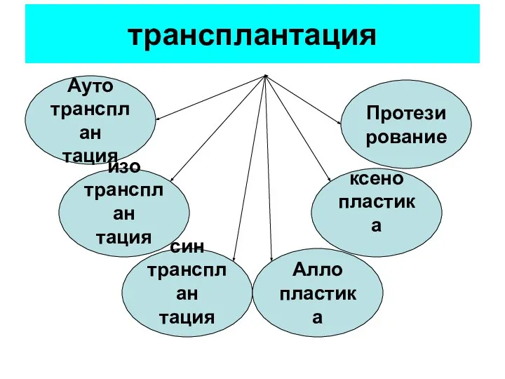 трансплантация Ауто трансплан тация изо трансплан тация син трансплан тация Алло пластика ксено пластика Протези рование