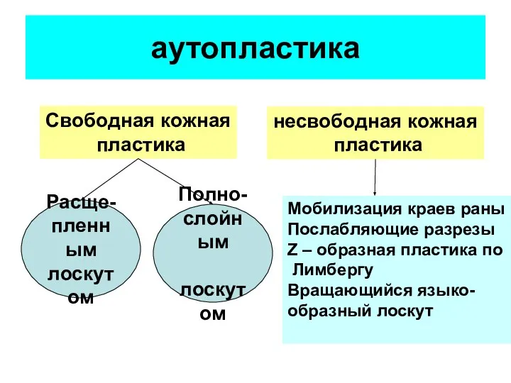 аутопластика Свободная кожная пластика Расще- пленным лоскутом Полно- слойным лоскутом несвободная