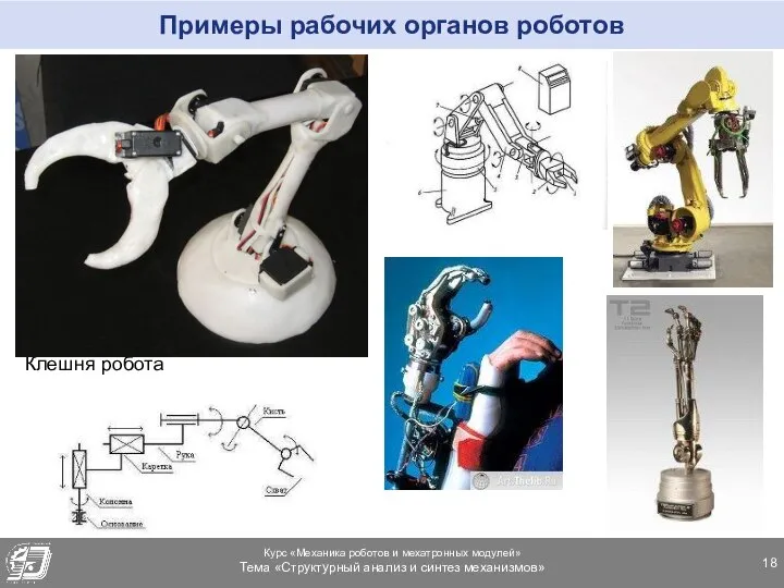 Примеры рабочих органов роботов Клешня робота