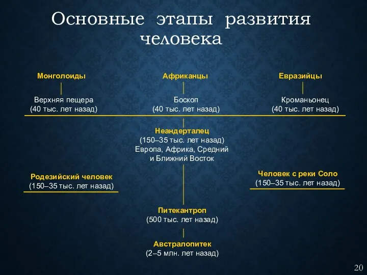 Основные этапы развития человека Монголоиды Африканцы Евразийцы Верхняя пещера (40 тыс.