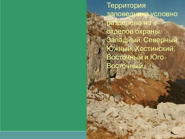 Территория заповедника условно разделена на 6 отделов охраны: Западный, Северный, Южный, Хостинский, Восточный и Юго-Восточный.