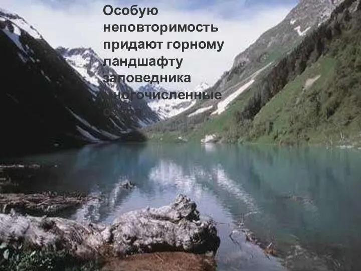 Особую неповторимость придают горному ландшафту заповедника многочисленные озера