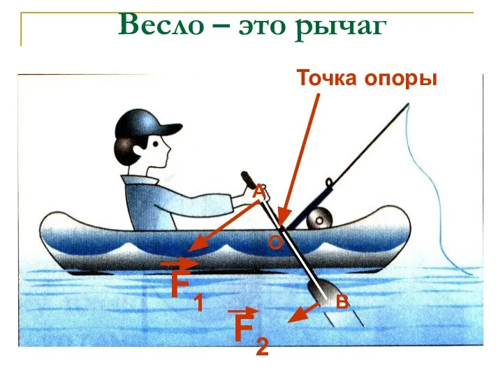 Весло – это рычаг Точка опоры F1 F2 О А В