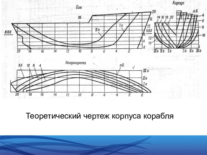 Теоретический чертеж корпуса корабля