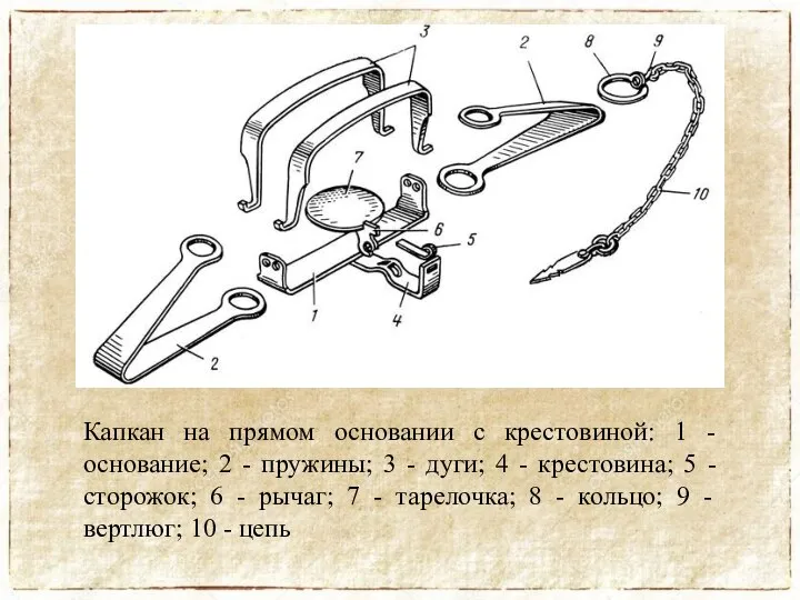 Капкан на прямом основании с крестовиной: 1 - основание; 2 -