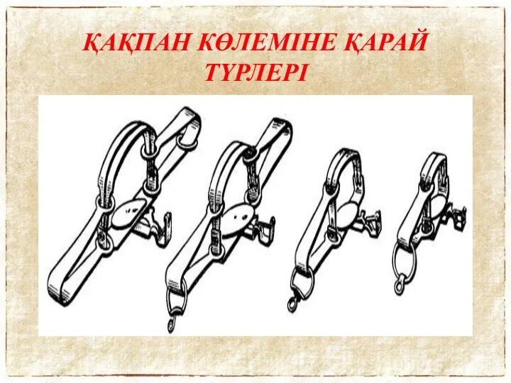 ҚАҚПАН КӨЛЕМІНЕ ҚАРАЙ ТҮРЛЕРІ