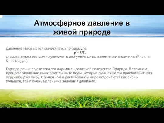 Атмосферное давление в живой природе Давление твёрдых тел вычисляется по формуле: