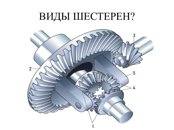 ВИДЫ ШЕСТЕРЕН?