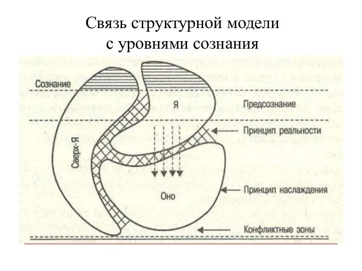 Связь структурной модели с уровнями сознания