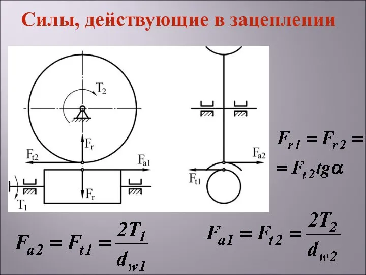 Силы, действующие в зацеплении