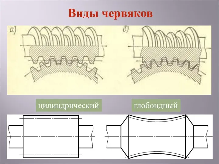 цилиндрический глобоидный Виды червяков