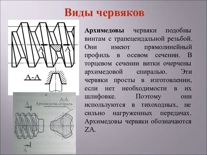 Архимедовы червяки подобны винтам с трапецеидальной резьбой. Они имеют прямолинейный профиль