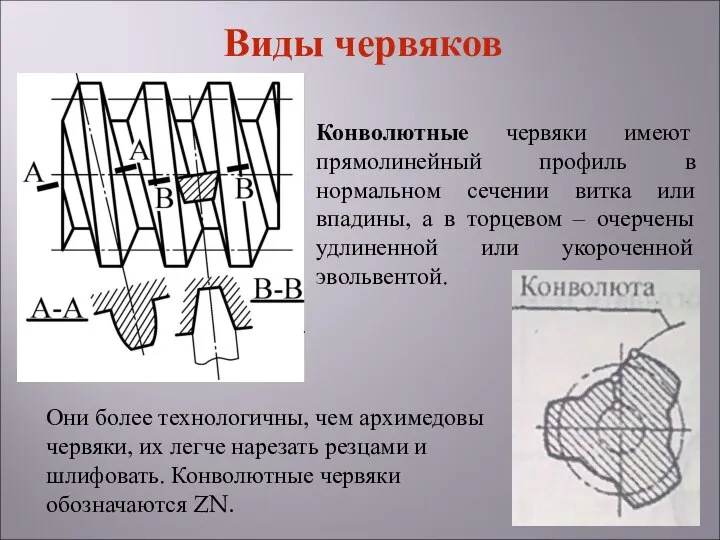 Конволютные червяки имеют прямолинейный профиль в нормальном сечении витка или впадины,