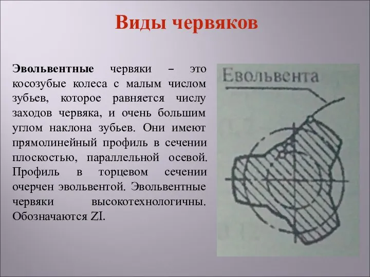 Эвольвентные червяки – это косозубые колеса с малым числом зубьев, которое