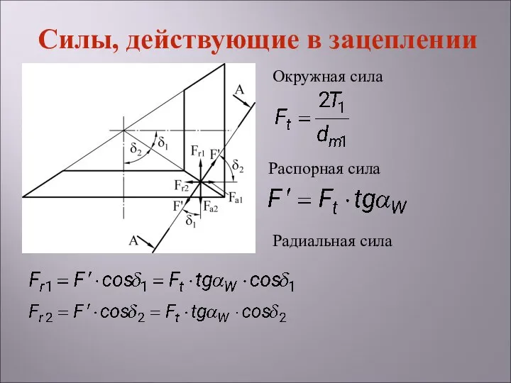 Силы, действующие в зацеплении Окружная сила Распорная сила Радиальная сила