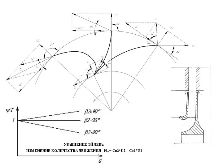 РАСПРЕДЕЛЕНИЕ СКОРОСТИ НА ЛОПАТКЕ УРАВНЕНИЕ ЭЙЛЕРА: ИЗМЕНЕНИЕ КОЛИЧЕСТВА ДВИЖЕНИЯ HТ = Cu2*U2 – Cu1*U1