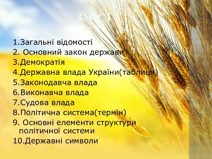 1.Загальні відомості 2. Основний закон держави 3.Демократія 4.Державна влада України(таблиця) 5.Законодавча