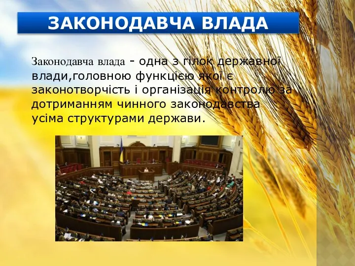 ЗАКОНОДАВЧА ВЛАДА Законодавча влада - одна з гілок державної влади,головною функцією