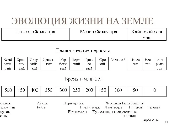 ЭВОЛЮЦИЯ ЖИЗНИ НА ЗЕМЛЕ