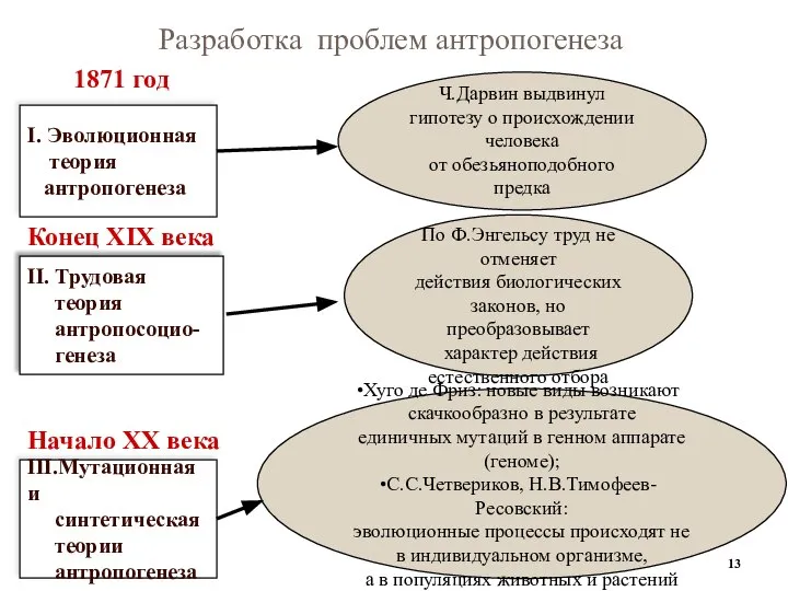 Ч.Дарвин выдвинул гипотезу о происхождении человека от обезьяноподобного предка I. Эволюционная