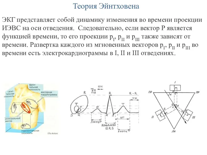 Теория Эйнтховена ЭКГ представляет собой динамику изменения во времени проекции ИЭВС