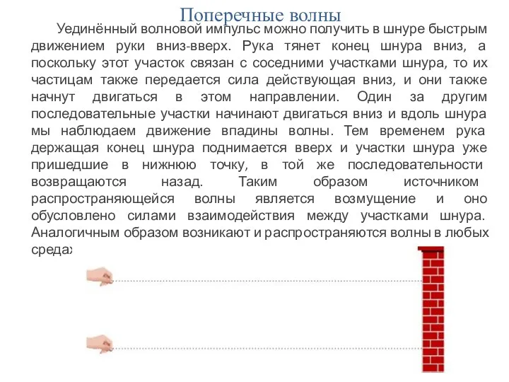 Поперечные волны Уединённый волновой импульс можно получить в шнуре быстрым движением