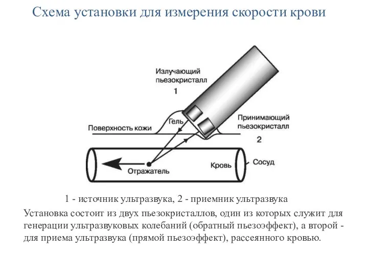 Схема установки для измерения скорости крови 1 - источник ультразвука, 2