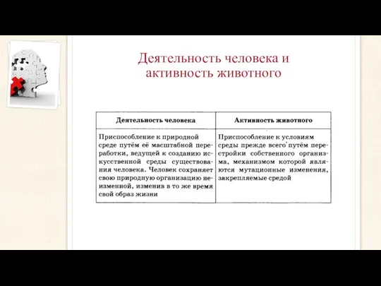 Деятельность человека и активность животного