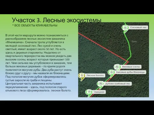 Участок 3. Лесные экосистемы * ВСЕ ОБЪЕКТЫ КЛИКАБЕЛЬНЫ В этой части