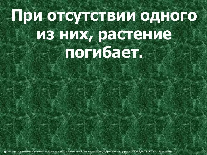 При отсутствии одного из них, растение погибает.