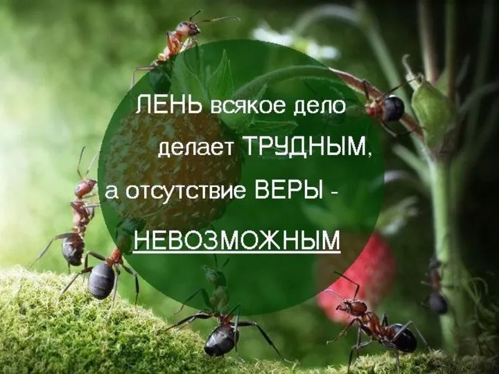 Творческая работа Закончить предложения: Когда я думаю о себе, я чувствую