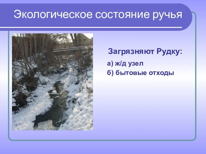 Загрязняют Рудку: а) ж/д узел б) бытовые отходы Экологическое состояние ручья