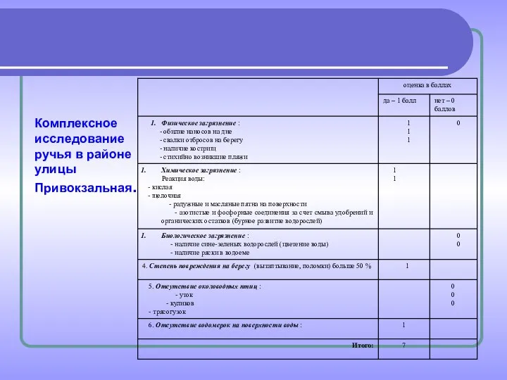 Комплексное исследование ручья в районе улицы Привокзальная.