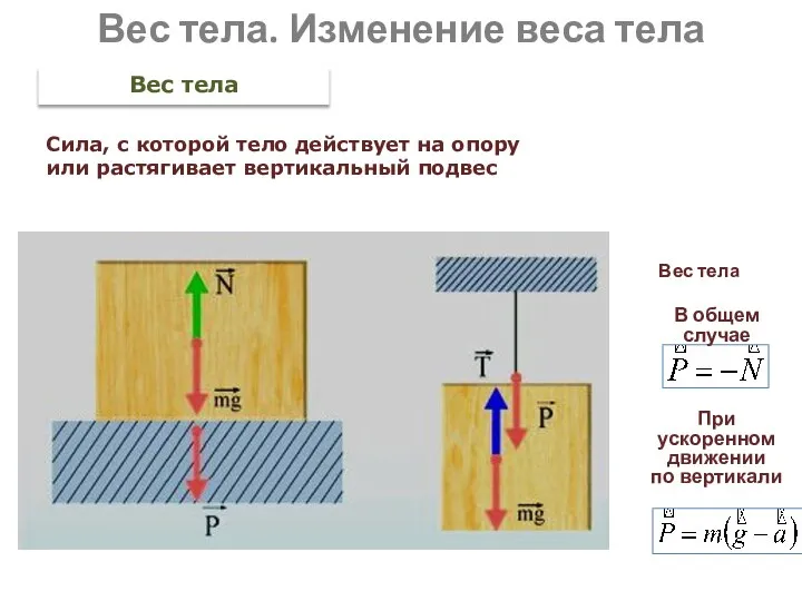 Вес тела. Изменение веса тела Вес тела Вес тела В общем