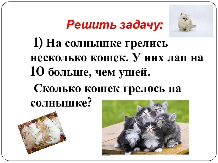 Решить задачу: 1) На солнышке грелись несколько кошек. У них лап