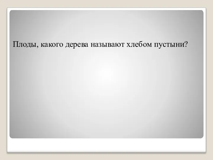 Плоды, какого дерева называют хлебом пустыни?