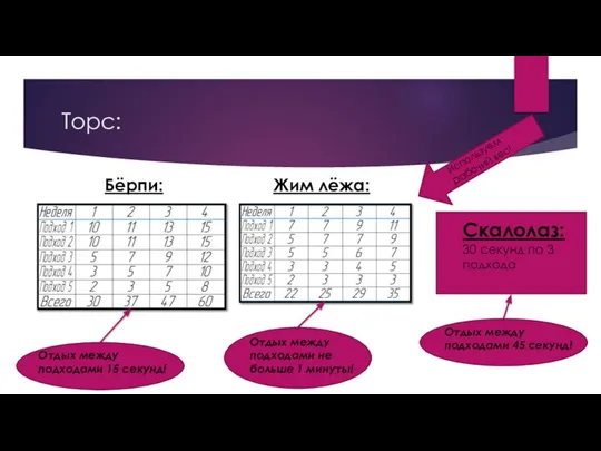 Торс: Бёрпи: Жим лёжа: Скалолаз: 30 секунд по 3 подхода Отдых