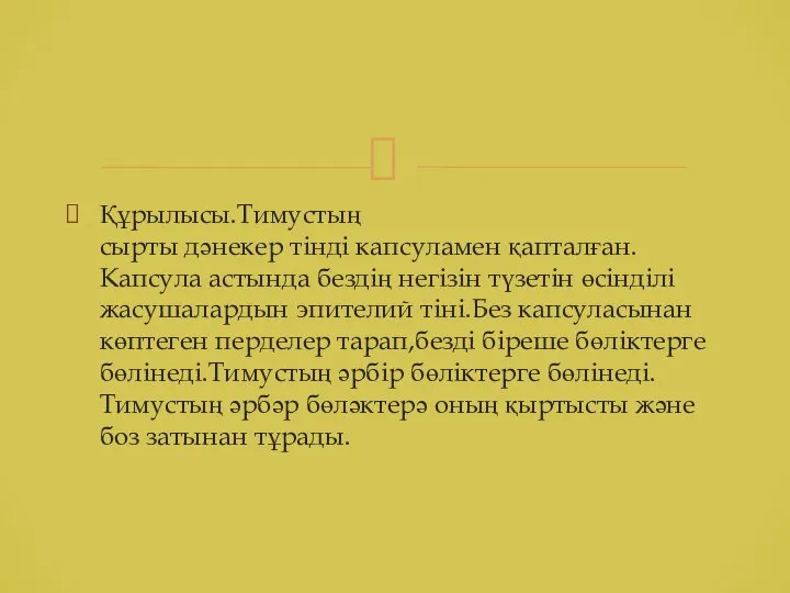 Құрылысы.Тимустың сырты дәнекер тінді капсуламен қапталған.Капсула астында бездің негізін түзетін өсінділі