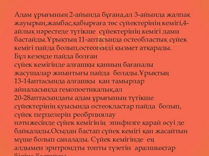 Адам ұрығының 2-айында бұғана,ал 3-айында жалпақ жауырын,жамбас,қабырғаға төс сүйектерінің кемігі,4-айлық нәрестеде