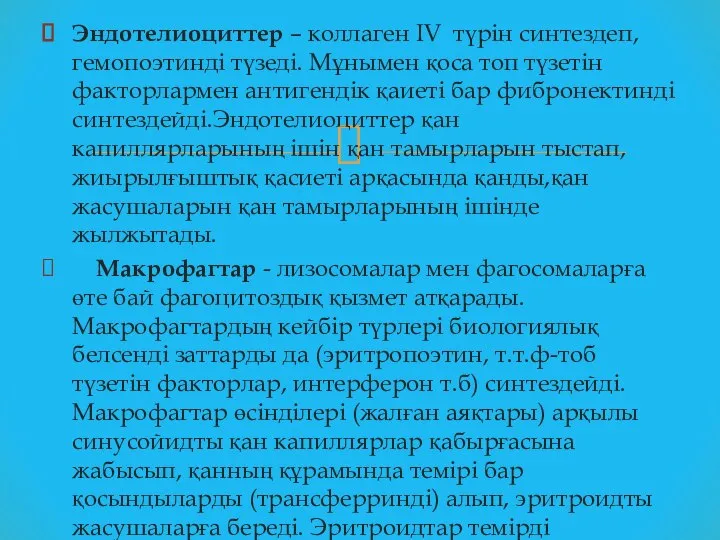 Эндотелиоциттер – коллаген IV түрін синтездеп, гемопоэтинді түзеді. Мұнымен қоса топ