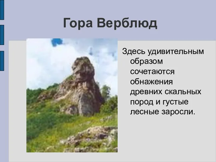 Гора Верблюд Здесь удивительным образом сочетаются обнажения древних скальных пород и густые лесные заросли.